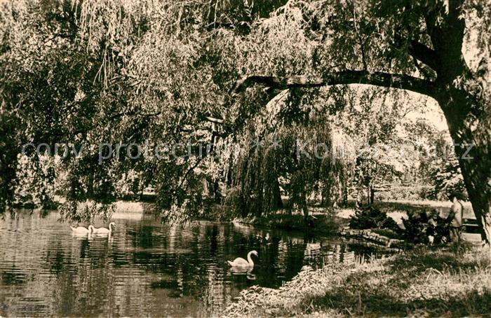 Dahme Mark Stadtpark