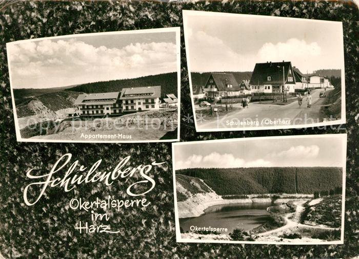Schulenberg Oberharz Appartement Haus Okertalsperre