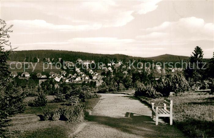 Braunlage Harz Kurpark