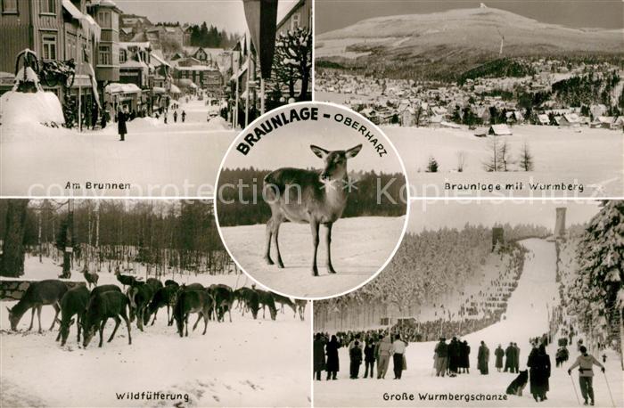 Braunlage Harz Brunnen Wurmberg Wildfuetterung Wurmbergschanze Winter