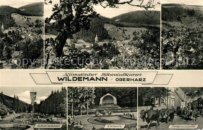 Wildemann Harz Goslar Niedersachsen Schwimmbad Kurpark Dameskapelle Panorama