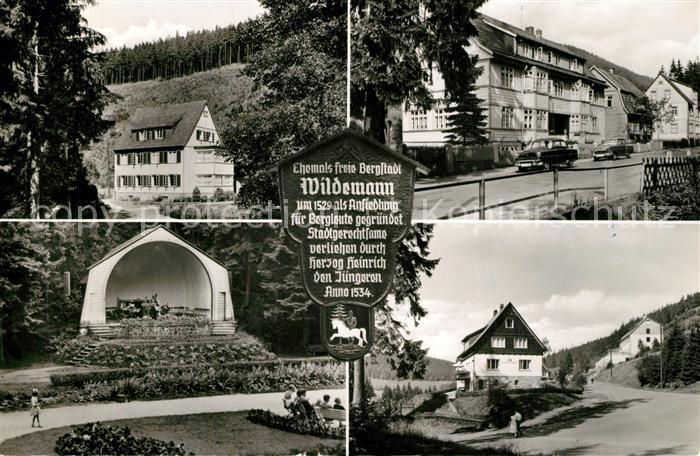 Wildemann Harz Goslar Niedersachsen Kurpark Pensionen