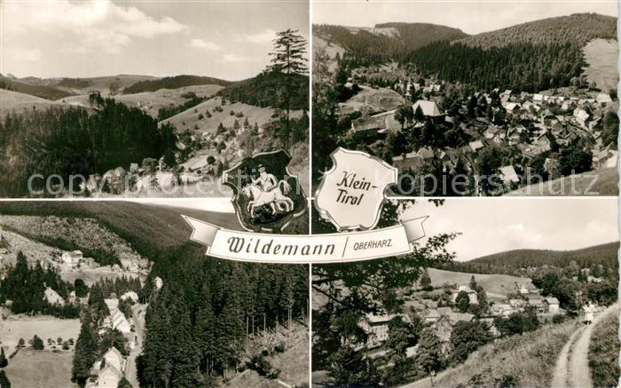 Wildemann Harz Goslar Niedersachsen Panorama