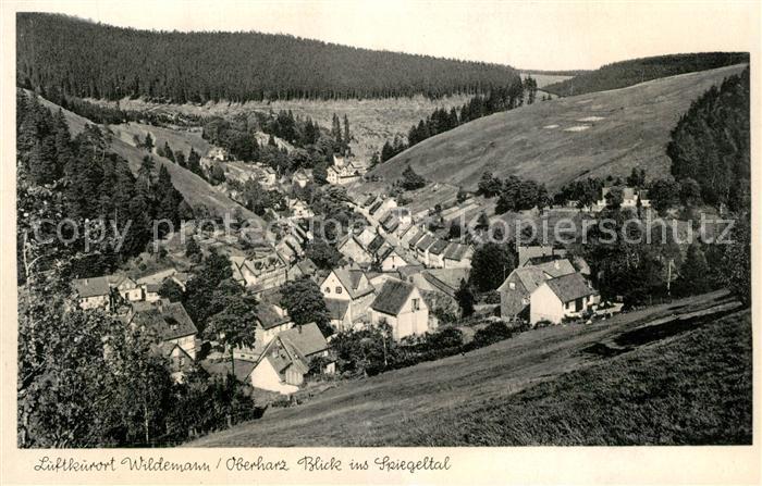 Wildemann Harz Goslar Niedersachsen Spiegeltal