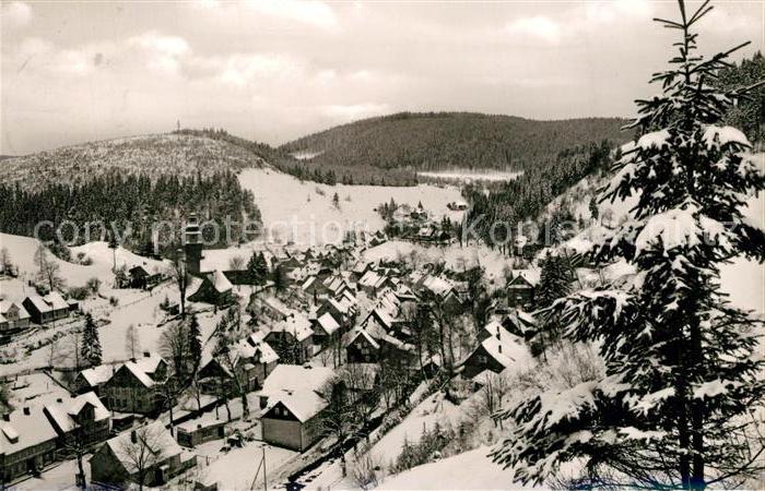 Wildemann Harz Goslar Niedersachsen Panorama Winterlandschaft