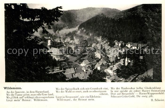 Wildemann Harz Goslar Niedersachsen Gedicht Schwier Panorama