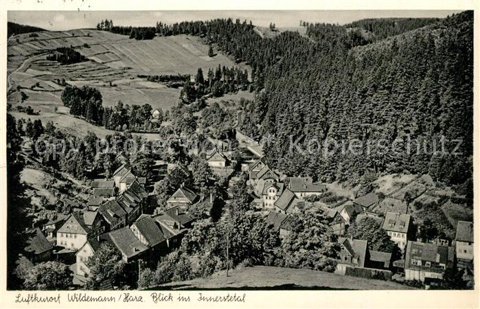 Wildemann Harz Goslar Niedersachsen Panorama Innerstetal