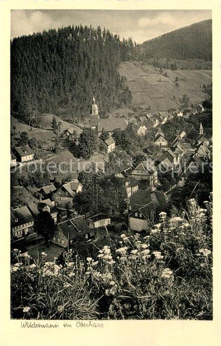 Wildemann Harz Goslar Niedersachsen Gasthaus Spiegelbad Kirche Panorama