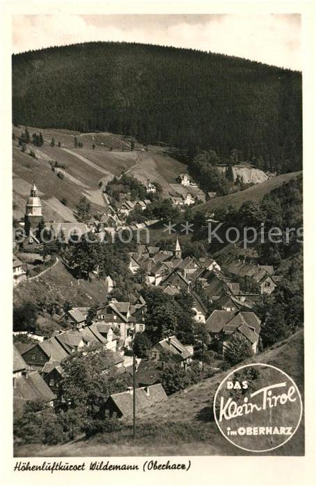 Wildemann Harz Goslar Niedersachsen Panorama
