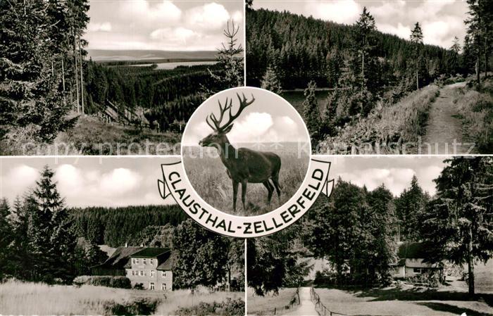 Clausthal-Zellerfeld Goslar Niedersachsen Hirsch Panorama
