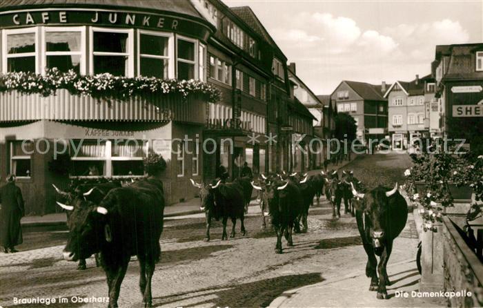 Braunlage Harz Damenkapelle Ochsenherde Cafe Junker