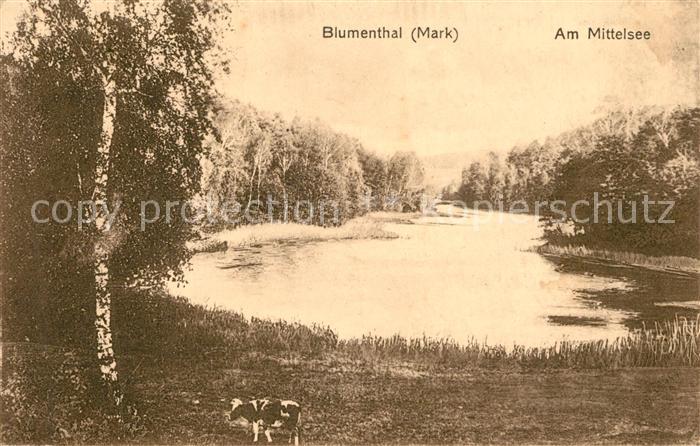 Blumenthal Proetzel Am Mittelsee
