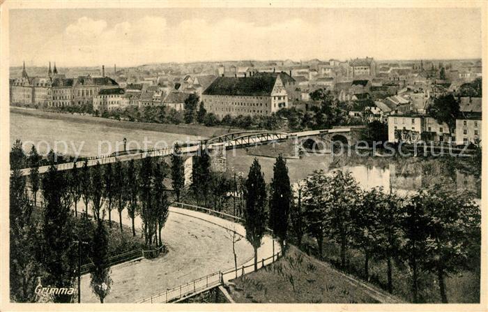 Grimma Bruecke Panorama