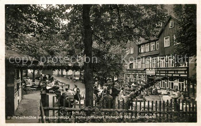 Hohegeiss Harz Wolfsbachmuehle im Rosenschmuck