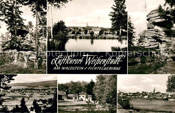 Weissenstadt Reh Panorama Steinhalde Teilansichten