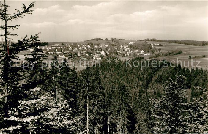 Bernstein Wald Panorama
