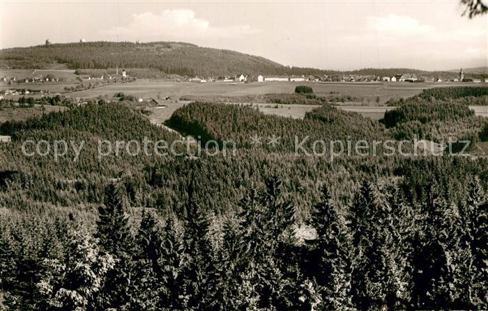 Schwarzenbach Wald mit Dobraberg