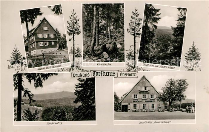 Torfhaus Harz Alpen Vereinshuette Kamelfichte Steile Wand Brocken Sporthotel Bro