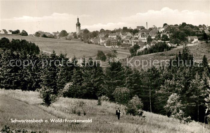 Schwarzenbach Wald Panorama