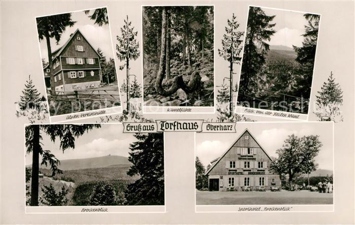 Torfhaus Harz Alpen Vereinshuette Kamelfichte Steile Wand Brockenblick Sporthote