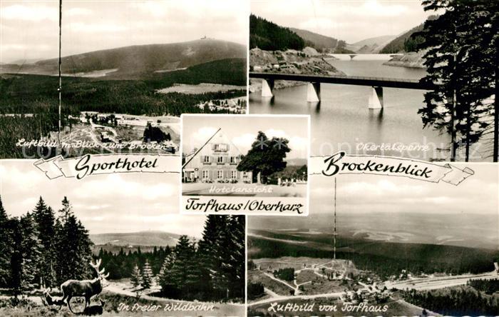 Torfhaus Harz Fliegeraufnahme Okertalsperre Hirsche in freier Wildbahn