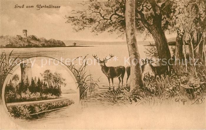 Werbellinsee-Altenhof Seepanorama Burgturm