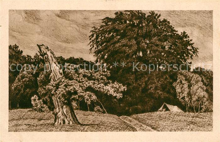 Werbellinsee-Altenhof Der suesse Winkel Radierung