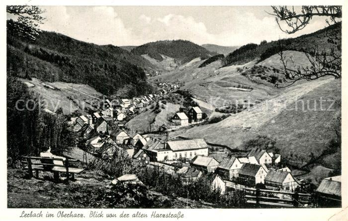 Lerbach Harz Blick von der alten Harzstrasse