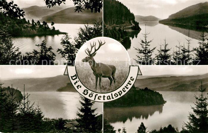 Osterode Harz Soesetalsperre Details Hirsch