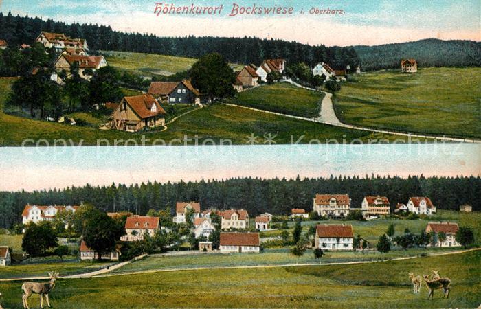 Bockswiese-Hahnenklee Harz Panorama