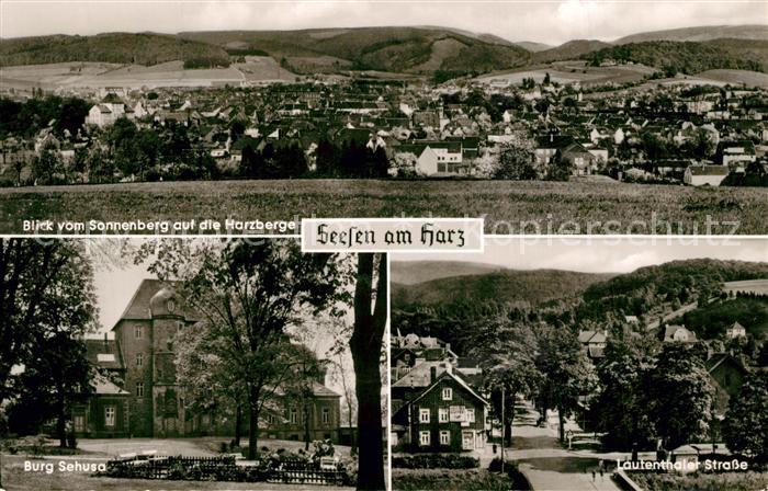 Seesen Harz Blick vom Sonnenberg auf die Harzberge Burg Schusa Lautenthaler Stra
