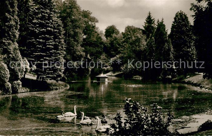 Einbeck Niedersachsen Kraehengraben Schwanenteich