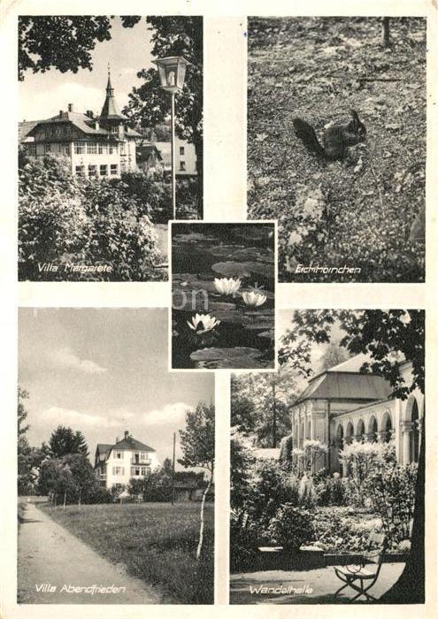 Bad Steben Villa Margarete Eichhoernchen Villa Abendfrieden Wandelhalle