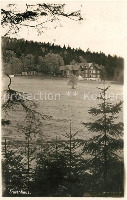 Schmiedefeld Neuhaus Berghotel Stutenhaus