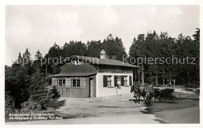 Neustadt Rennsteig Waldschaenke Dreiherrenstein Pferdekutsche