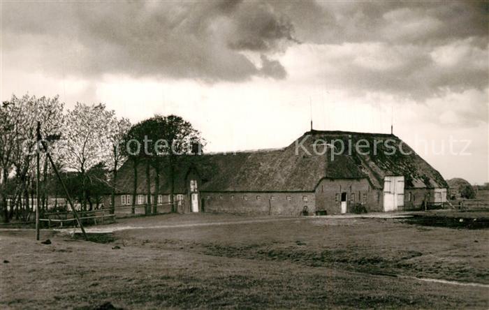 Niebuell Hotel Bossen