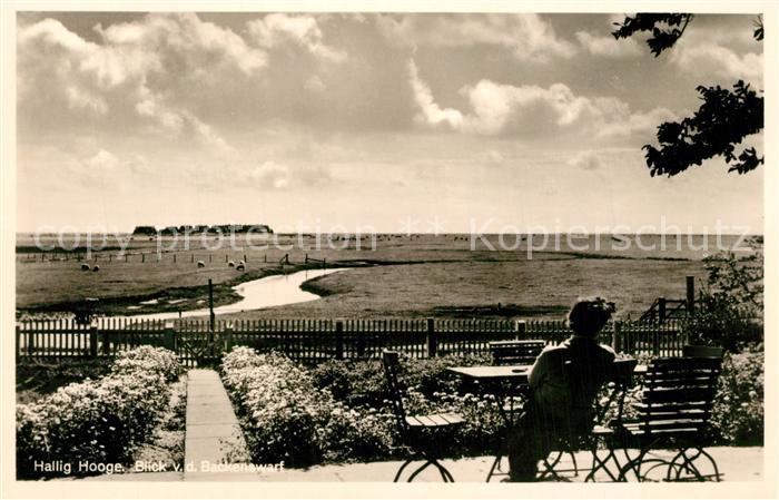 Hallig Hooge Hauswarf Panorama vom Backenswarf