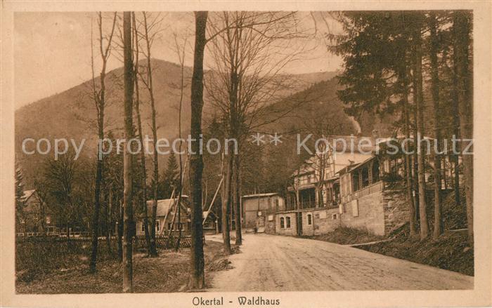 Okertal Waldhaus