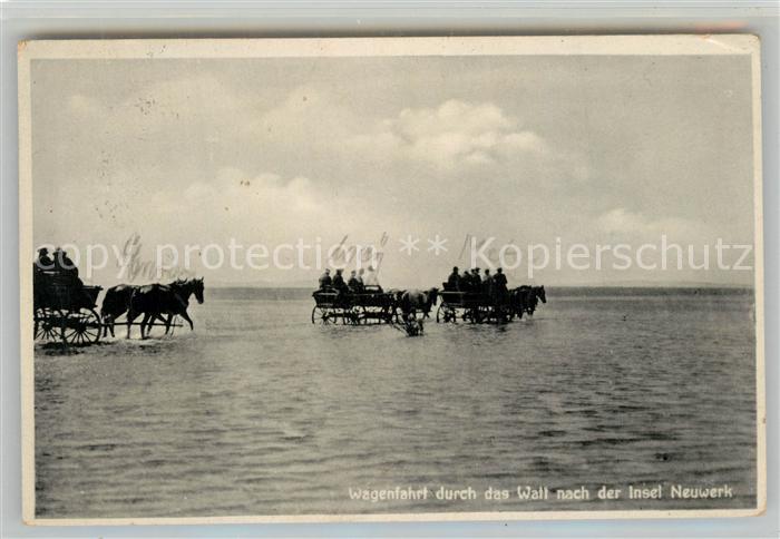 Insel Neuwerk Wagenfahrt durch das Watt