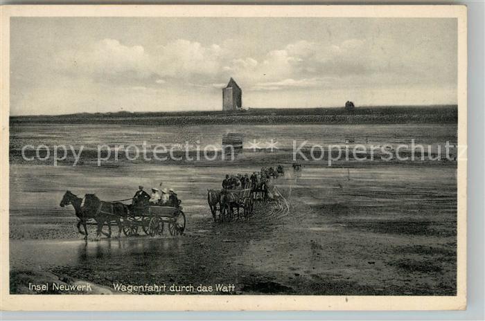 Insel Neuwerk Wagenfahrt Watt