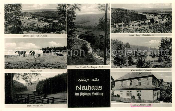 Neuhaus Solling Landschaftspanorama Trakehner Pferde Muehlenberger Tal Lakenhaus