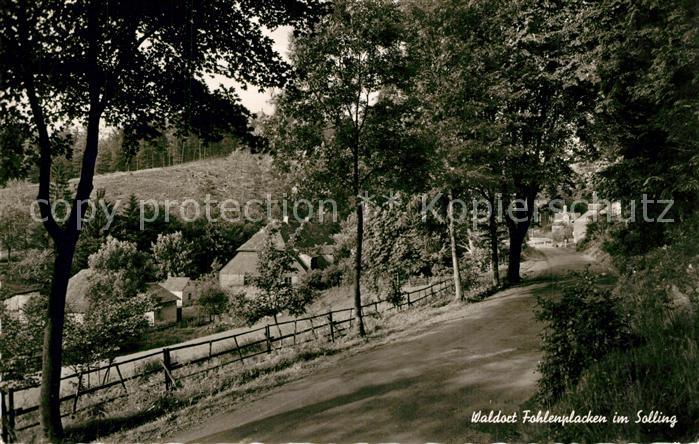 Fohlenplacken Landstrasse durch den Wald zum Ort