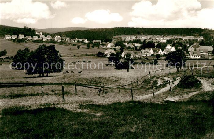 Neuhaus Solling Panorama