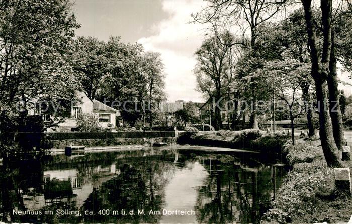Neuhaus Solling Partie am Dorfteich
