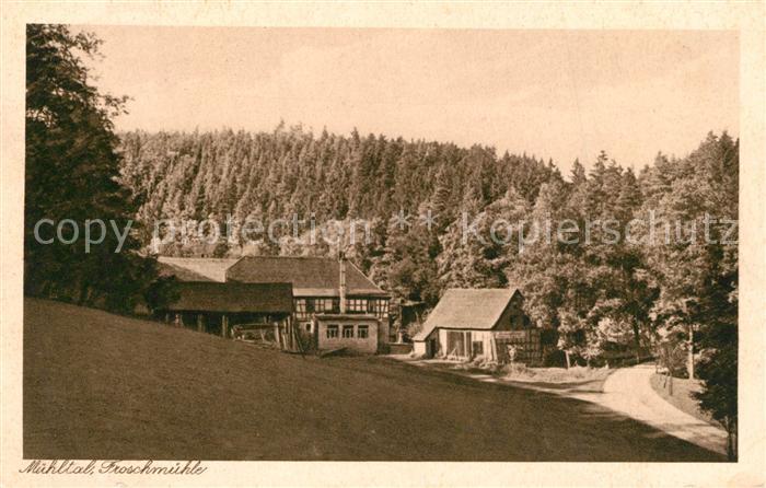 Muehltal Thueringen Froschmuehle