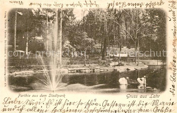 Lahr Baden Partie im Stadtpark Schwanenteich