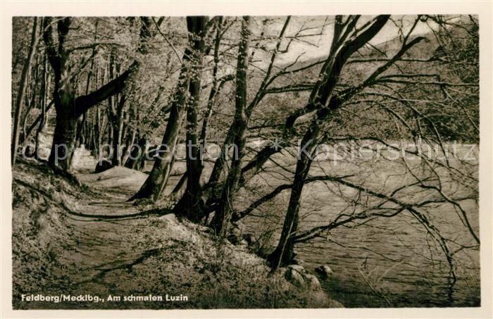 Feldberg Mecklenburg Partie am schmalen Luzin