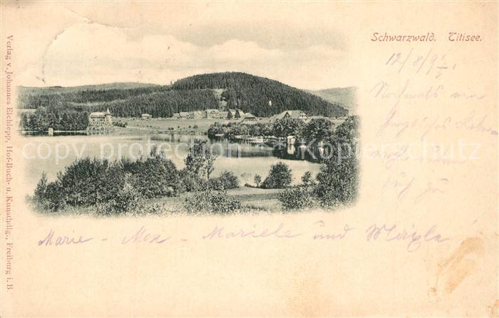 TITISEE Schwarzwald BW Panorama Schwarzwald