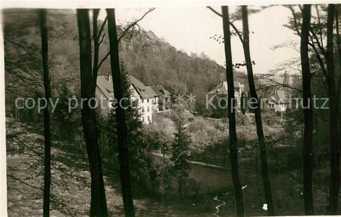 Freienwalde Bad Ansicht vom Waldrand aus