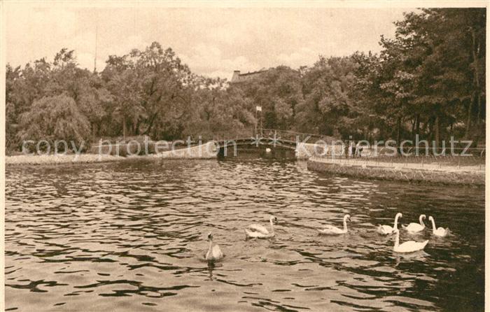 HAMBURG  CITY Aussenalster Schwaene Heliogravuere Nr 14